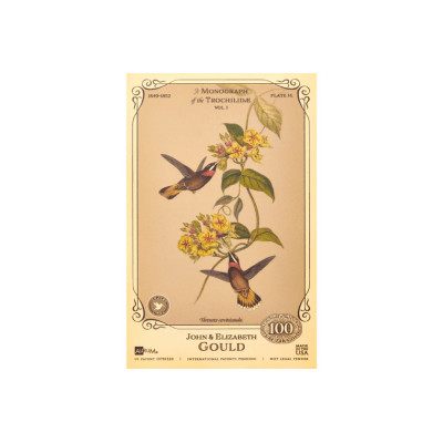 The John and Elizabeth Gould Collection - Hummingbirds