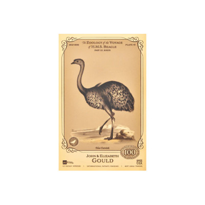 The John and Elizabeth Gould Aurum - H.M.S. Beagle Collection